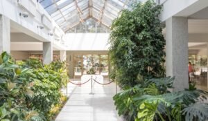 Menapaki Jejak Sejarah di House of Flowers, Serbia